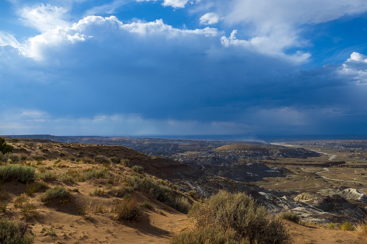 Destinations are responding by promoting eco-tourism and encouraging visitors to