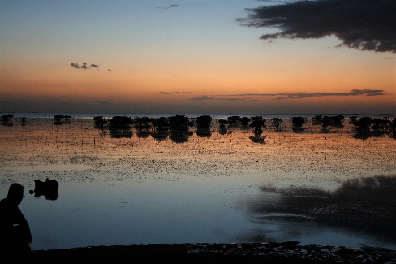 Locations such as Norway's fjords and the deserts of Morocco
