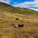 Emerging Travel Destinations New Trends In Global Tourism For 2022