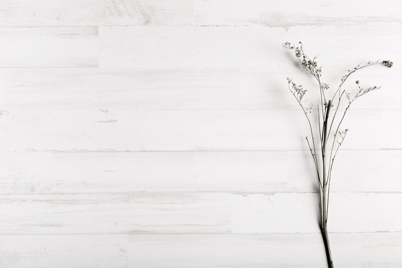 Travel Apps and Notification Services