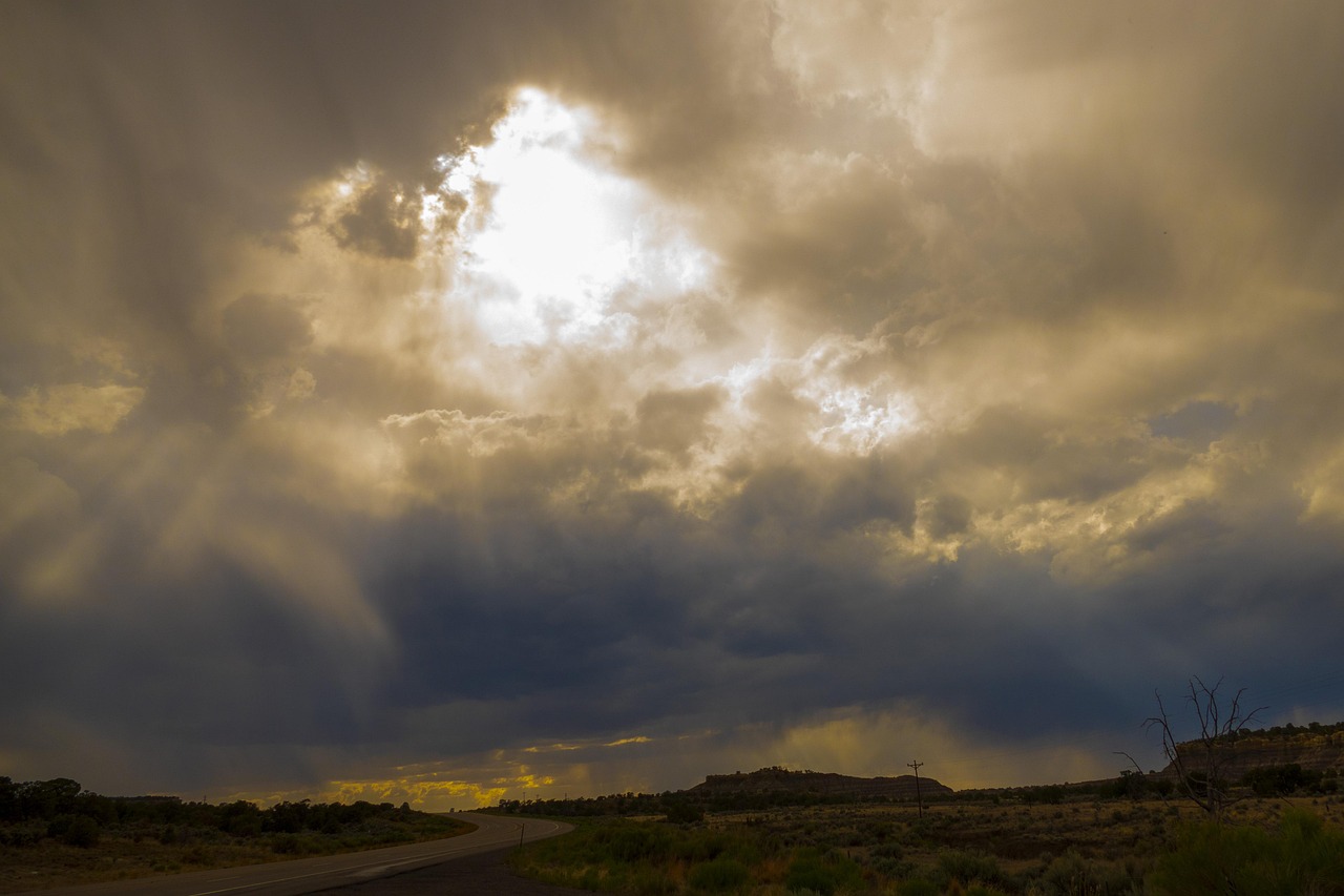 To facilitate safe travel, digital health passports have been introduced.