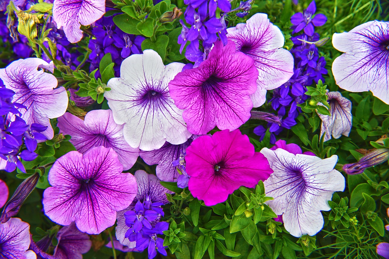 Visitors to Bhutan can marvel at its majestic monasteries, hike