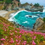 This Is California’s Prettiest State Park—With Redwoods, Blue Water, and an 80-foot Waterfall Flowing into the Ocean TAL-when-wildflower-season-julia-pfeiffer-state-park-JULIAPFEIFFERBURNPARK0326-6fb2aa32d3a14d2c843e927bf79ecf10